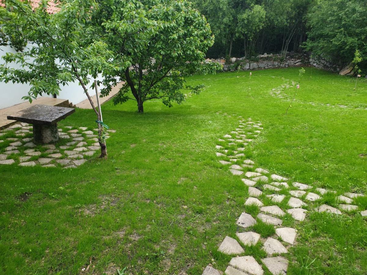 Art House 1800 Villa Tribalj  Kültér fotó